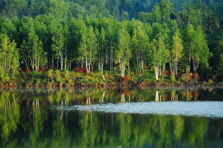 Changchun+Yanji+Changbaishan 7-Day and 6-Night Private Tour