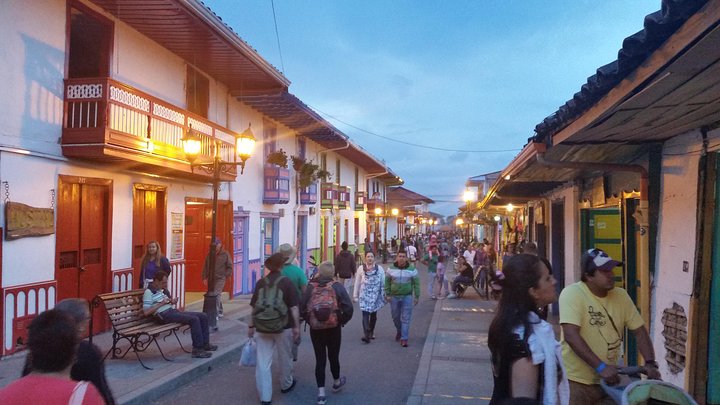 Full-Day Private Coffee Tour in Cocora Valley and Salento