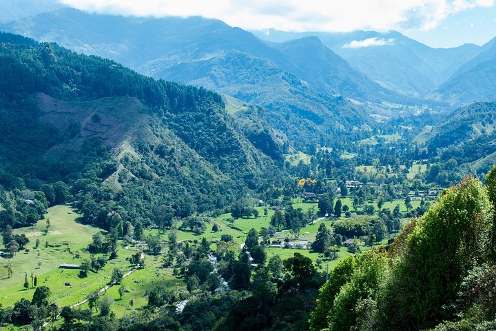 Full-Day Private Coffee Tour in Cocora Valley and Salento