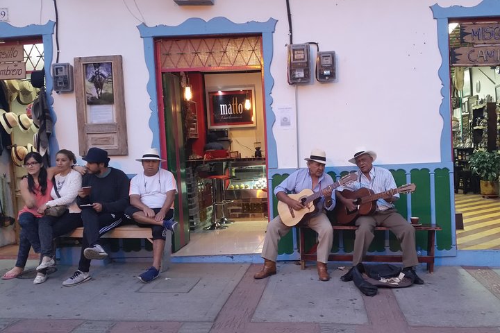 Full-Day Private Coffee Tour in Cocora Valley and Salento