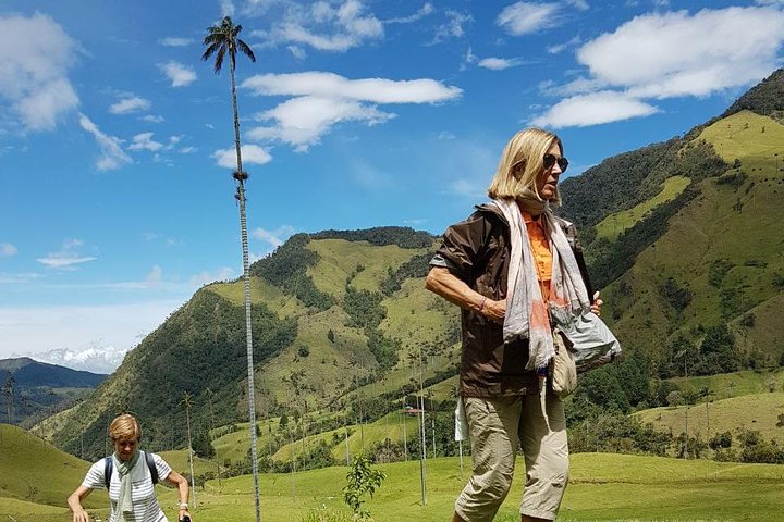 Full-Day Private Coffee Tour in Cocora Valley and Salento