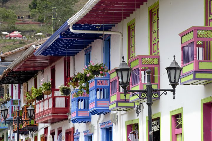 Full-Day Private Coffee Tour in Cocora Valley and Salento