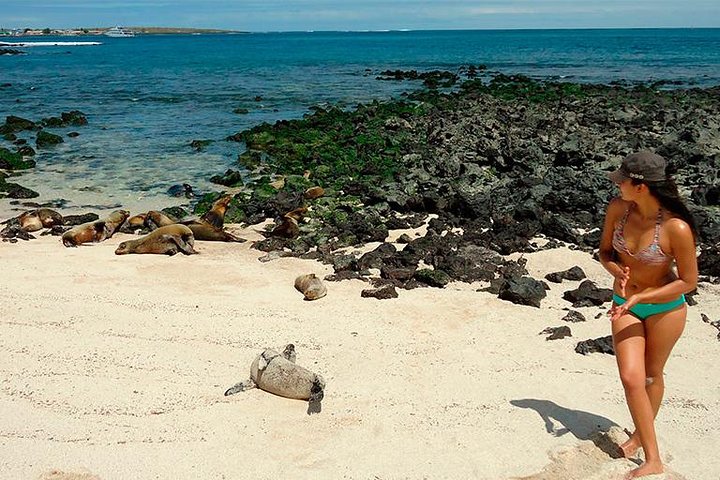 Tour 360 San Cristobal - Best of the Island