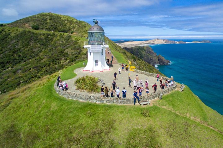 Far North New Zealand Tour Including 90 Mile Beach and Cape Reinga from Paihia