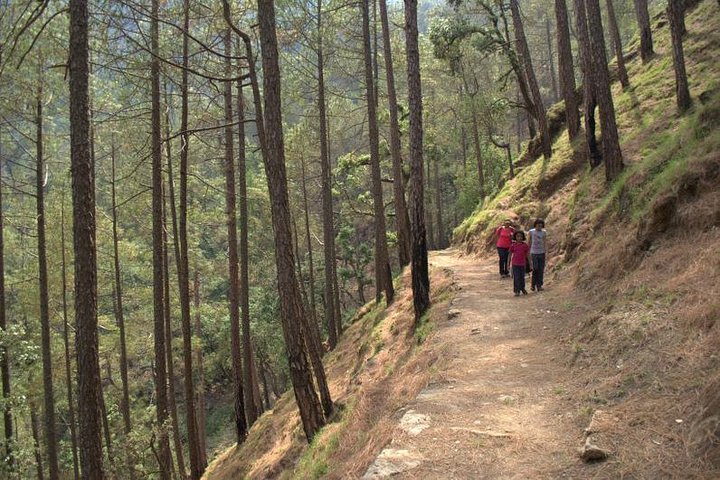 Kumaon/Binsar Sanctuary Walking Holiday