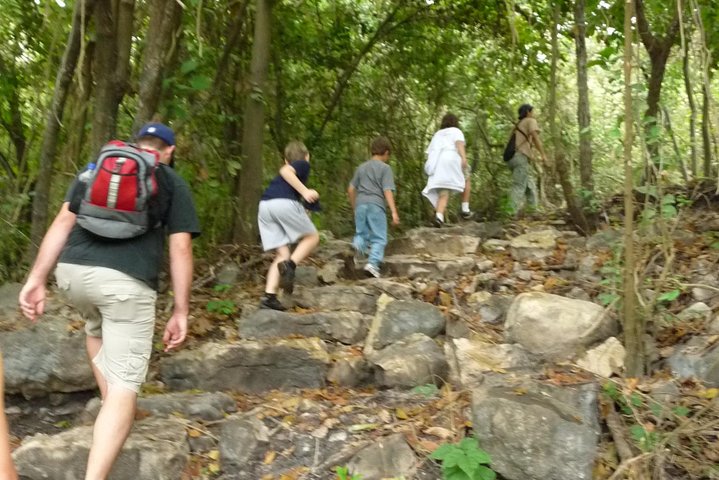 Birdwatching in Cerro Blanco from Guayaquil