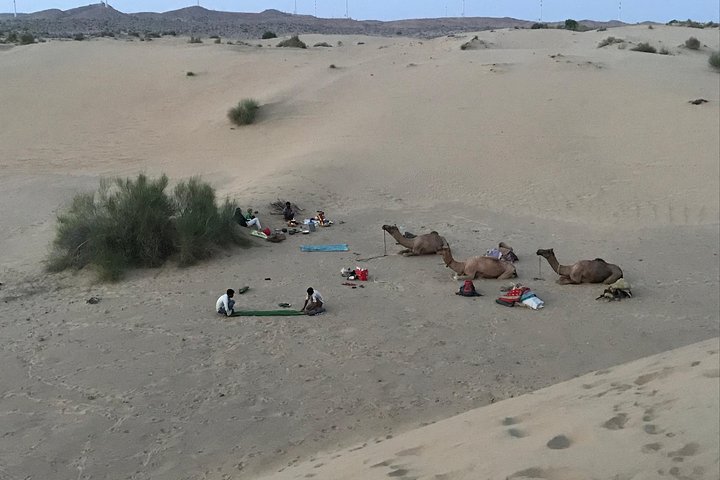 Non-touristic overnight camel safari