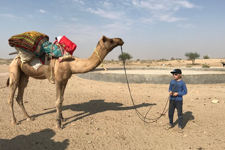 Non-touristic overnight camel safari
