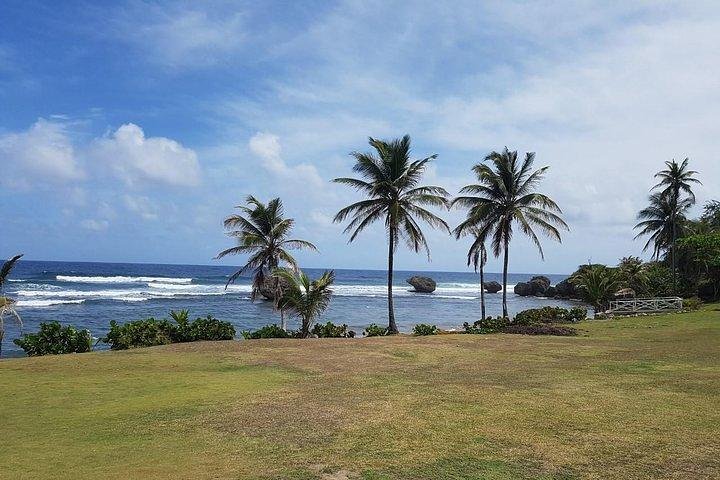 Barbados Amazing Full Day Private Rural Excursion
