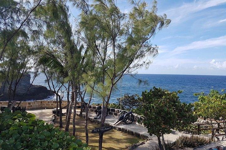 Barbados Amazing Full Day Private Rural Excursion