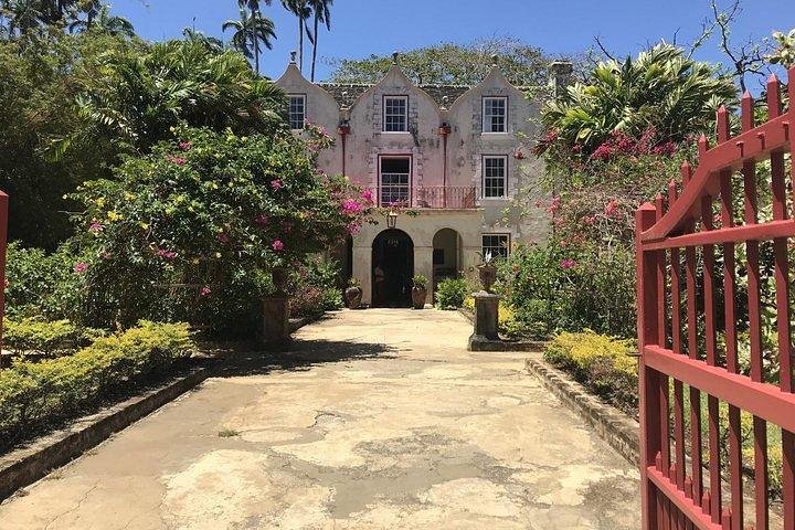 Barbados Amazing Full Day Private Rural Excursion