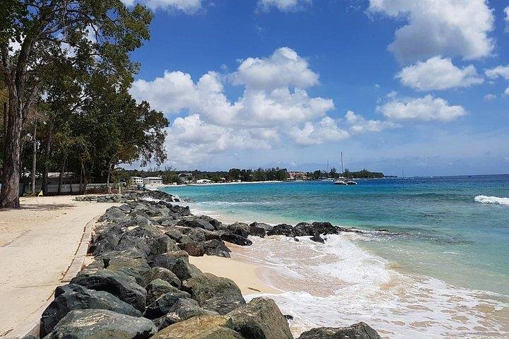 Barbados Amazing Full Day Private Rural Excursion