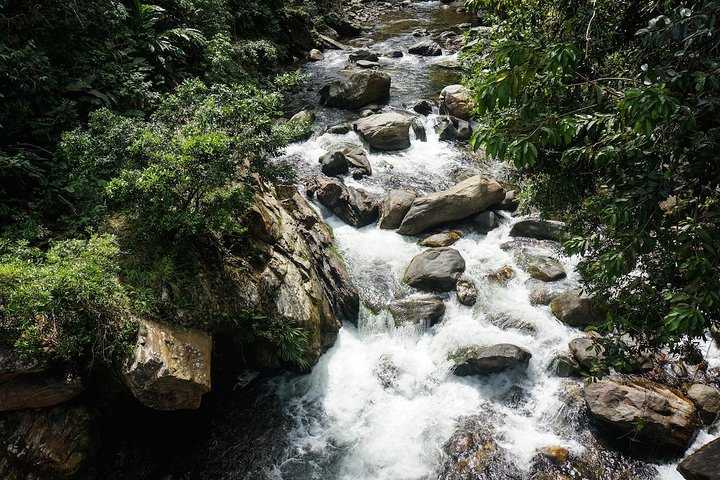 Hike for 4 days to the Lost City, Santa Marta