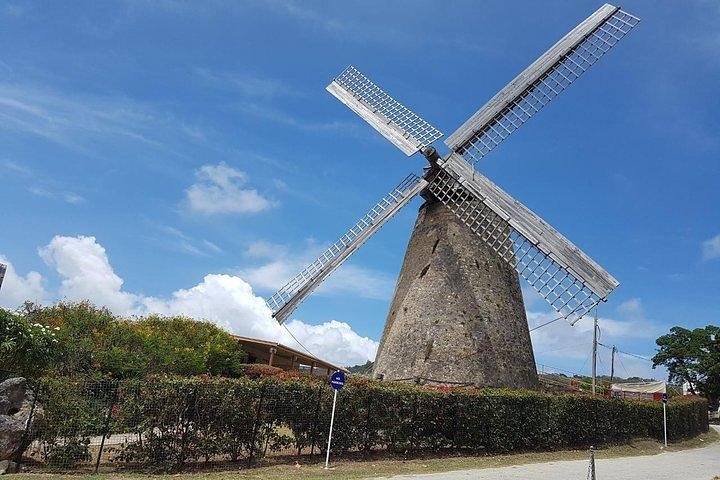 Barbados Amazing Full Day Private Rural Excursion
