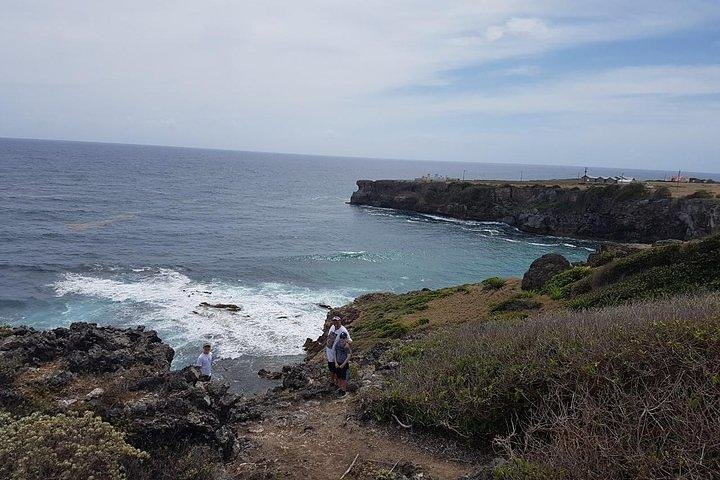 Barbados Amazing Full Day Private Rural Excursion