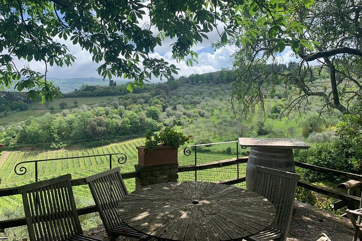 Private Tour in Siena, San Gimignano and Chianti Day Trip from Florence