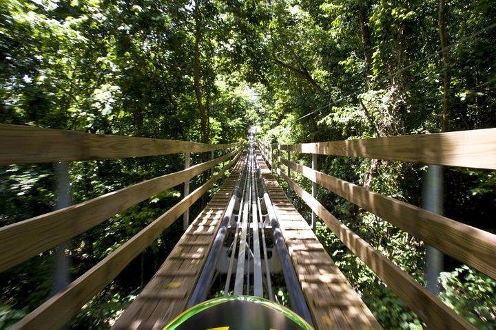 Jamaica Bobsled Adventure Tour from Port Antonio