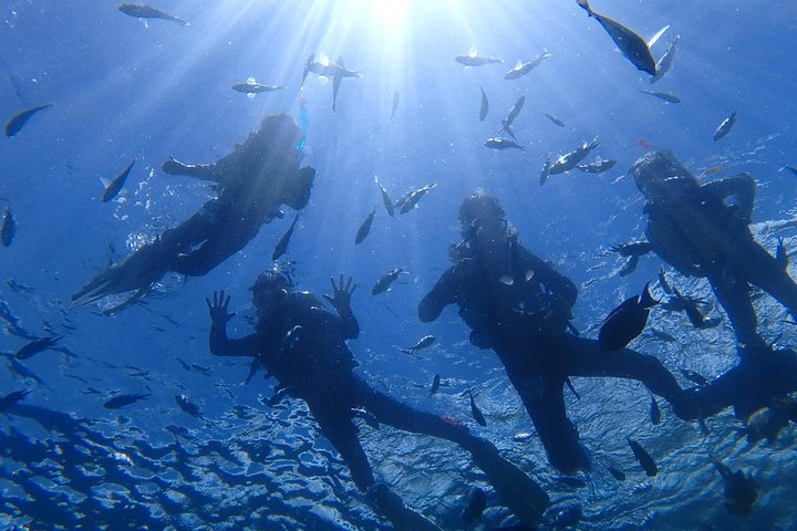 Snorkeling in the Blue Cave area【Okinawa Prefecture: Free feeding & photo images!English and Chinese speaking guide available!