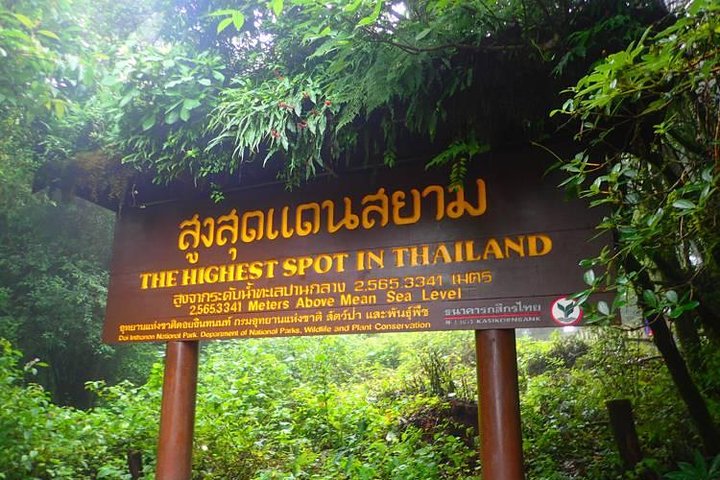 3-in-1: Doi Inthanon Tour, Elephant Sanctuary, and Trekking Trail