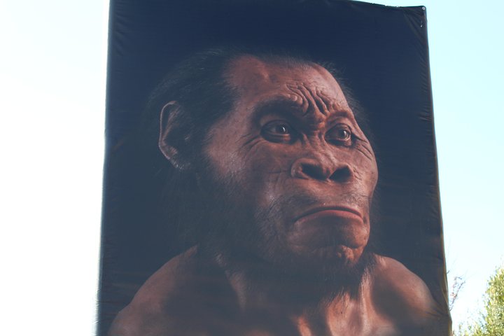 Cradle of Humankind Tour:Sterkfontein Caves & Maropeng Experience