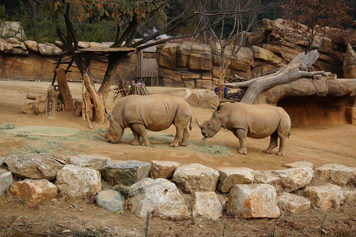 EVERLAND "From Hotel to Hotel" [Premium Private Tour: Only One Group for You]