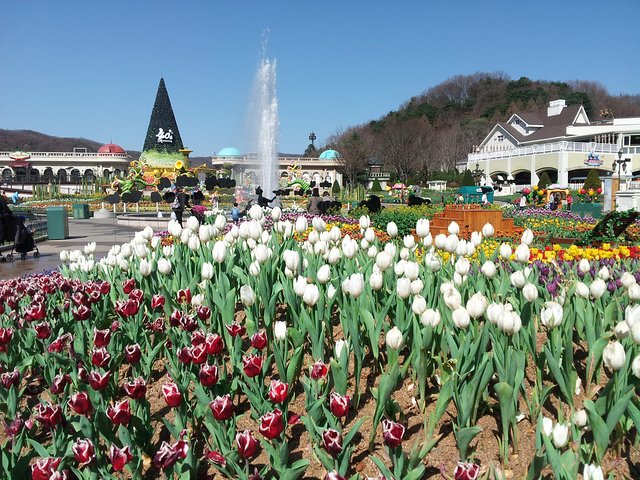 EVERLAND "From Hotel to Hotel" [Premium Private Tour: Only One Group for You]