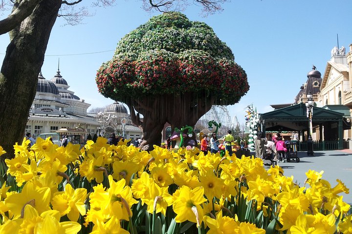 EVERLAND "From Hotel to Hotel" [Premium Private Tour: Only One Group for You]