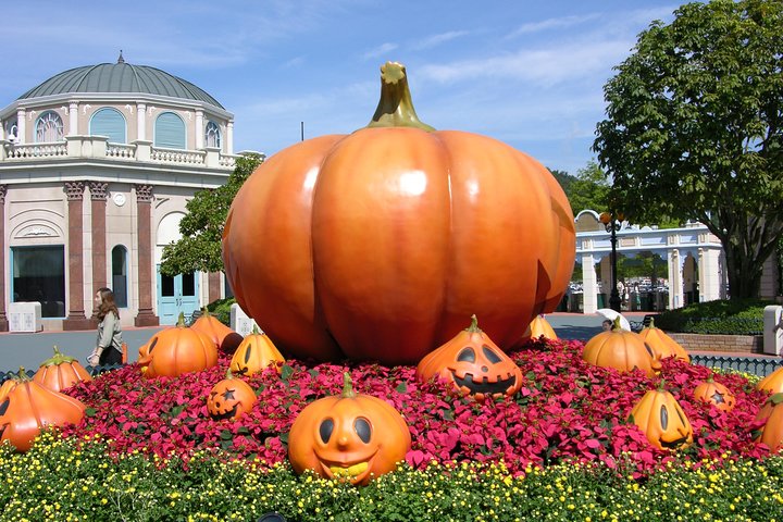 EVERLAND "From Hotel to Hotel" [Premium Private Tour: Only One Group for You]