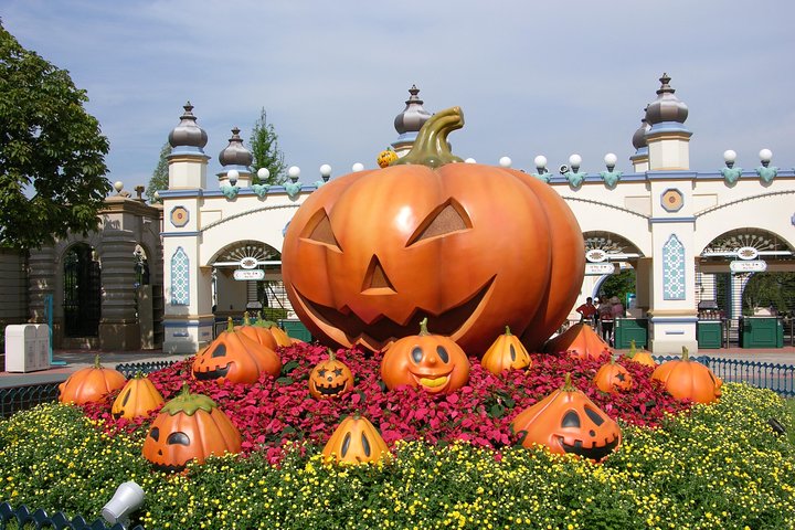 EVERLAND "From Hotel to Hotel" [Premium Private Tour: Only One Group for You]