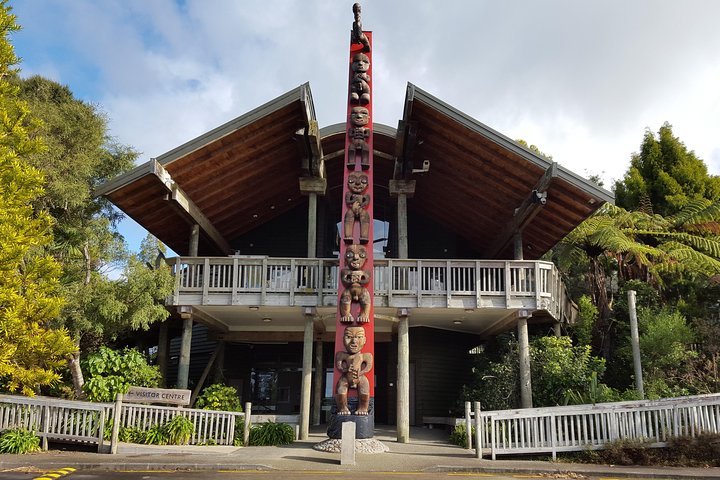 Afternoon Piha Beach and Rainforest Tour from Auckland