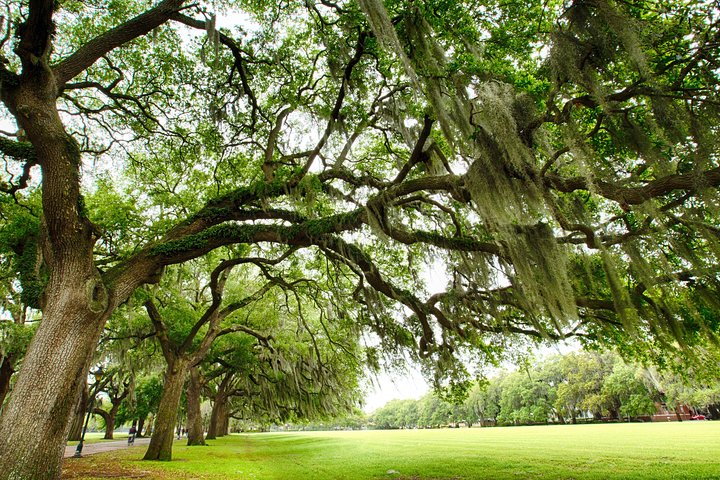 Savannah Land & Sea Combo: City Sightseeing Trolley Tour with Riverboat Cruise