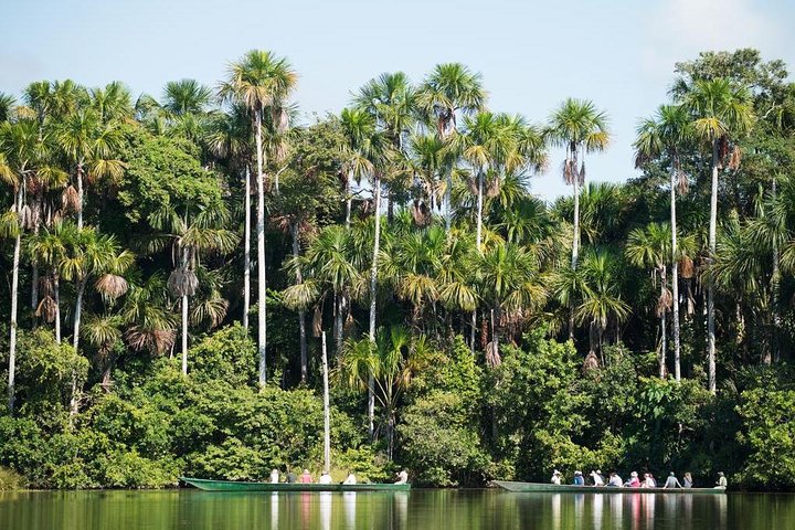 3-Day Tambopata Amazon Jungle Tour at Hacienda Concepción