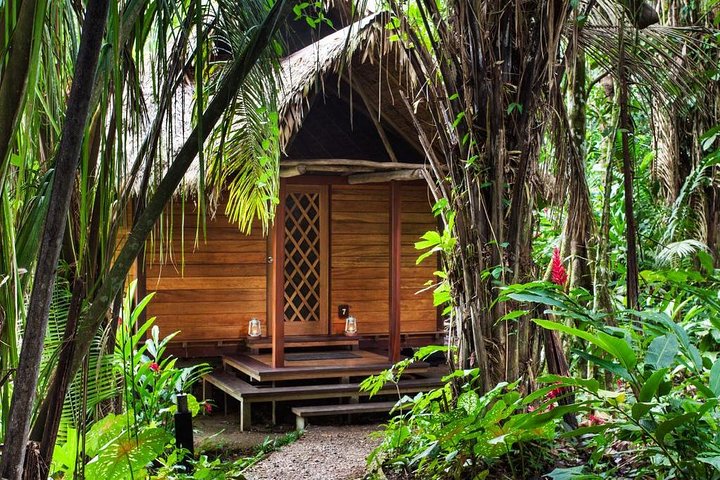 3-Day Tambopata Amazon Jungle Tour at Hacienda Concepción