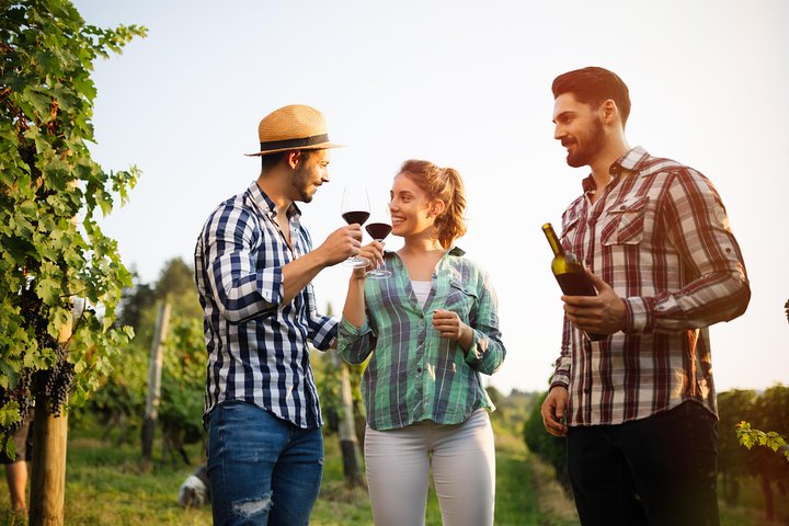 Paso Robles Wine Adventure within the Paso Robles Wine Region