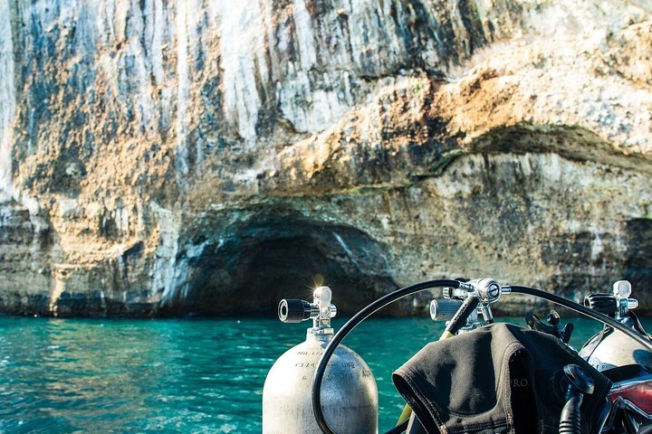 Small Group Scuba Diving Los Arcos from Sayulita