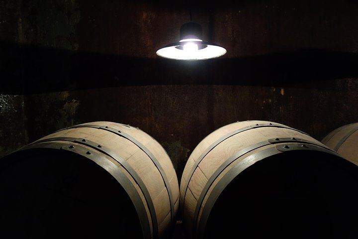 Wine Tour Privado a Colonia Caroya, Córdoba - Argentina