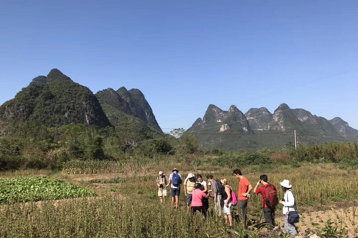 Private Tour-Yangshuo Highlights