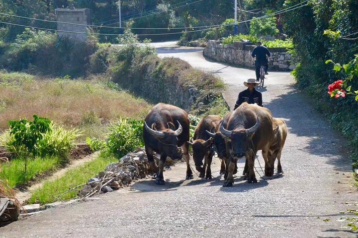 Private Tour-Yangshuo Highlights