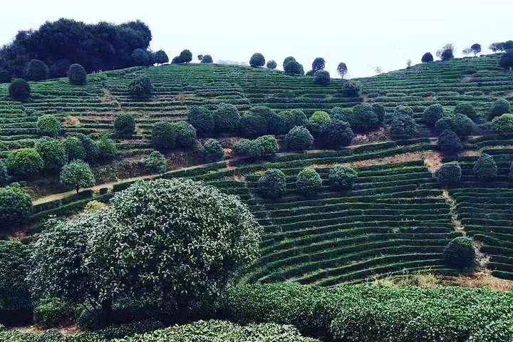 Private Tour-Yangshuo Highlights