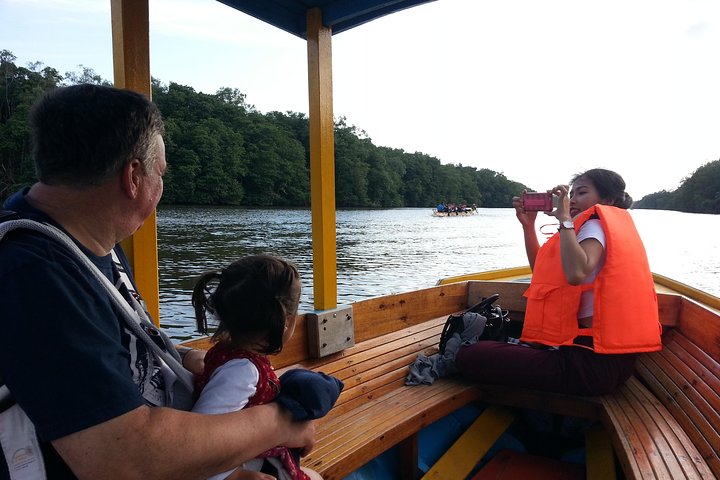 Private Proboscis Monkey Tour