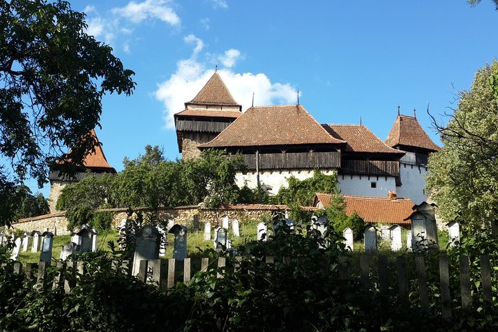 Sighisoara and Viscri UNESCO Guided Day Tour From Brasov