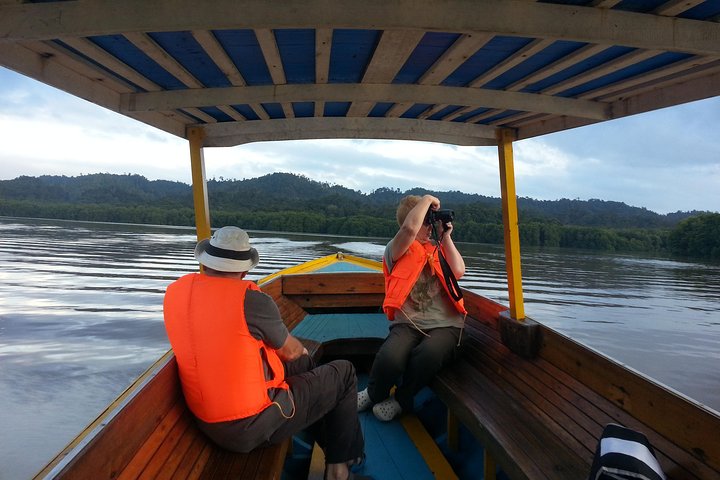 Private Proboscis Monkey & Water Village Tour