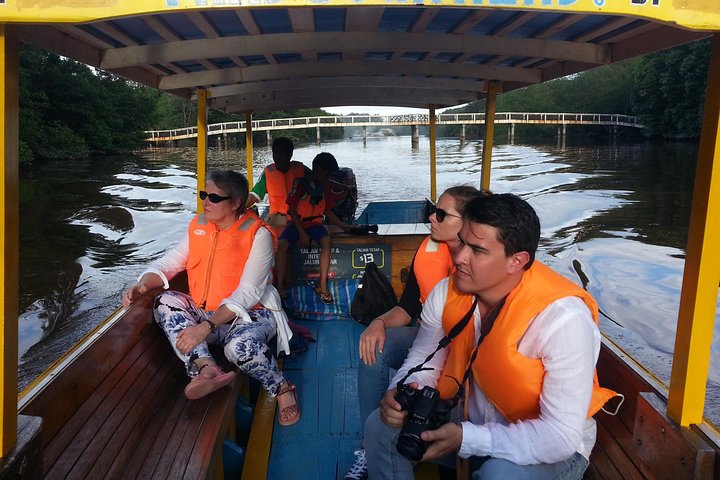 Private Proboscis Monkey & Water Village Tour