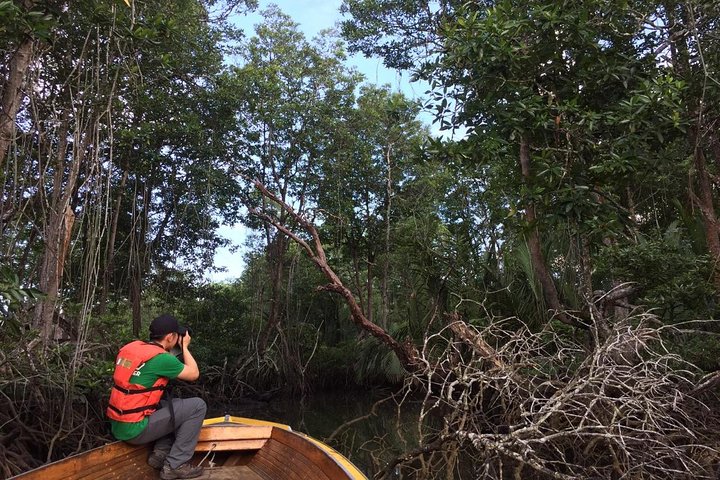 Private Proboscis Monkey & Water Village Tour