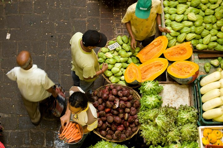 Full Day North Private Guided Tour Mauritius: including lunch