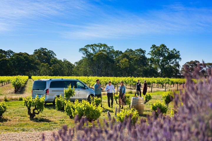 Barossa Wine Tour - Max 6 guests incl Chef's Menu Lunch with wine