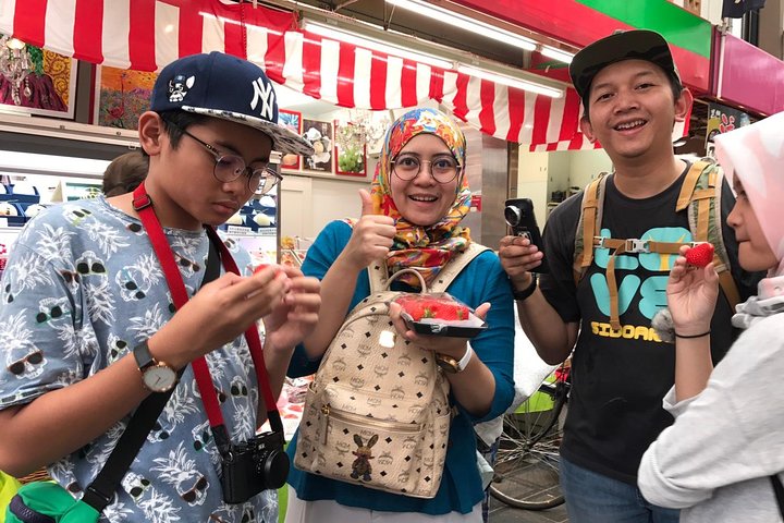 Osaka Private Tour: One Day Highlights