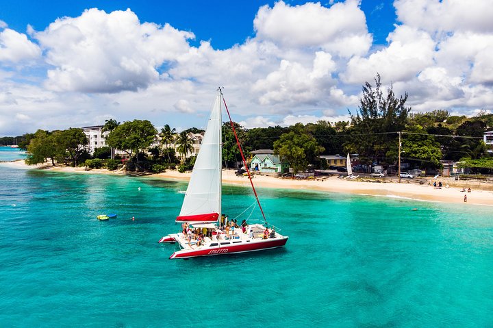 Barbados Catamaran Turtle Snorkel with Lunch and Open Bar