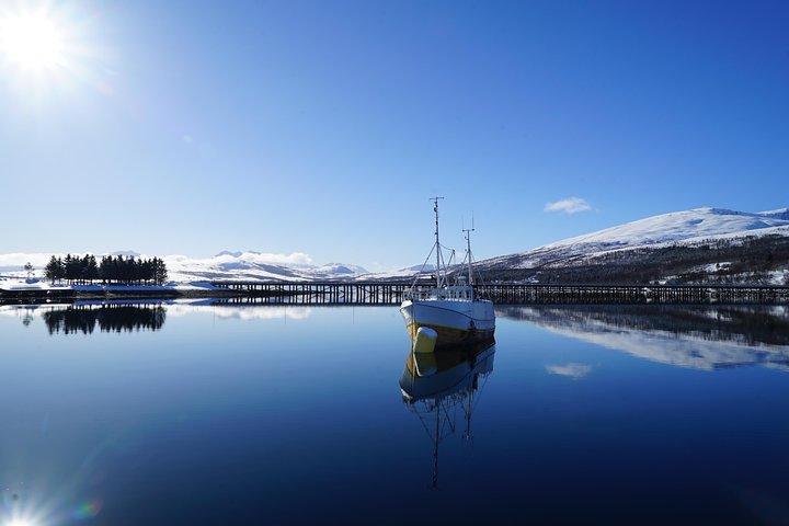 Fjordcruise in a Luxury Yacht Arctic Queen
