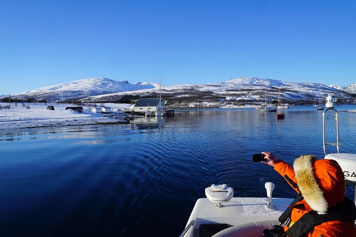 Fjordcruise in a Luxury Yacht Arctic Queen